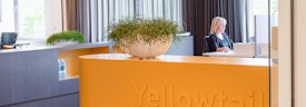 Omslagfoto van Junior Innovatie Consultant bij Yellowtail