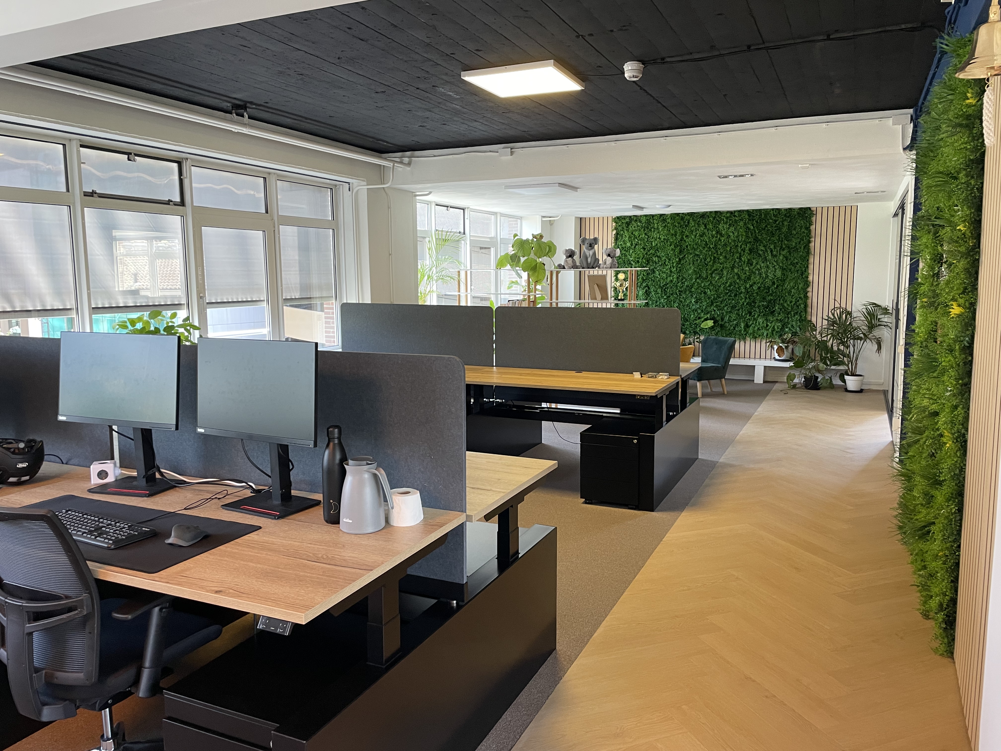 Koalitix's cover photo