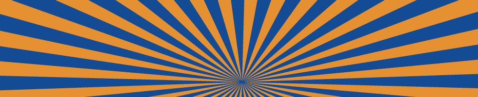 Omslagfoto van B&M Retail