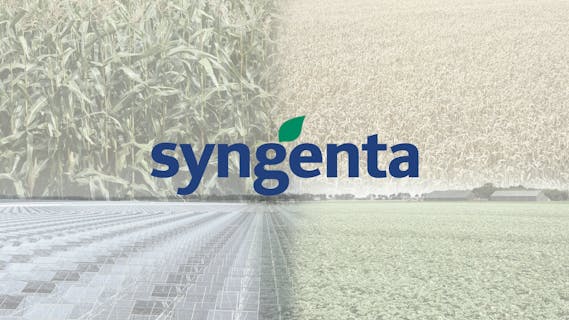 Syngenta - Cover Photo