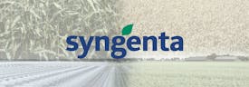 Omslagfoto van Internship digital bij Syngenta