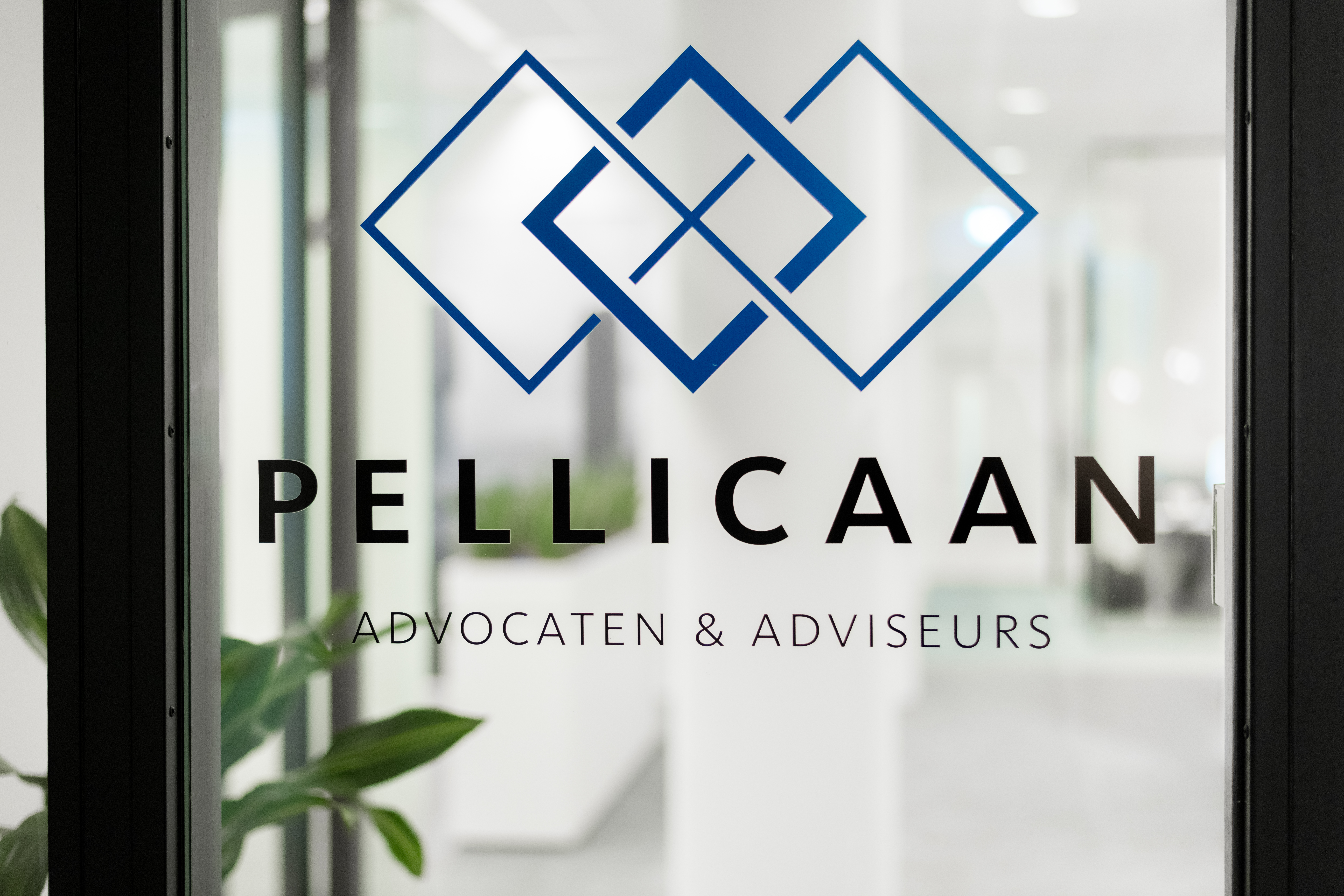 Coverphoto for Advocaat Medewerker / Jurist Arbeidsrecht en Flexrecht at Pellicaan Advocaten