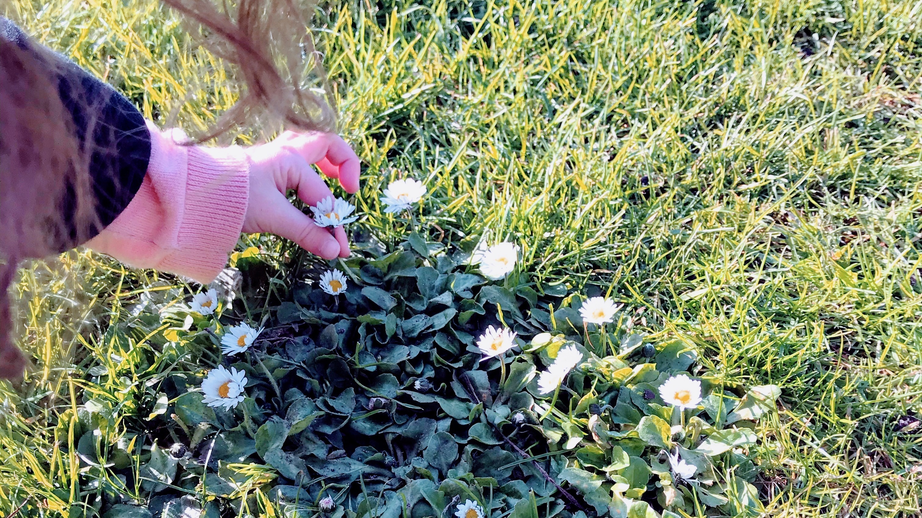 Spriet's cover photo