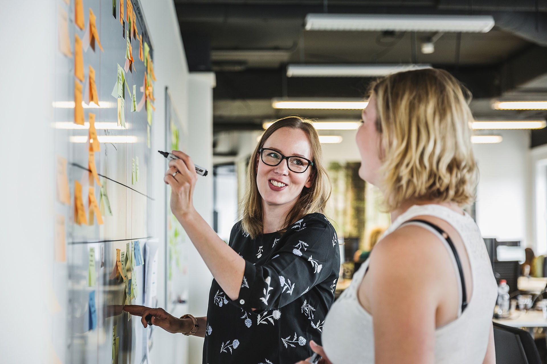 Artefact's cover photo