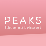 Logo Peaks