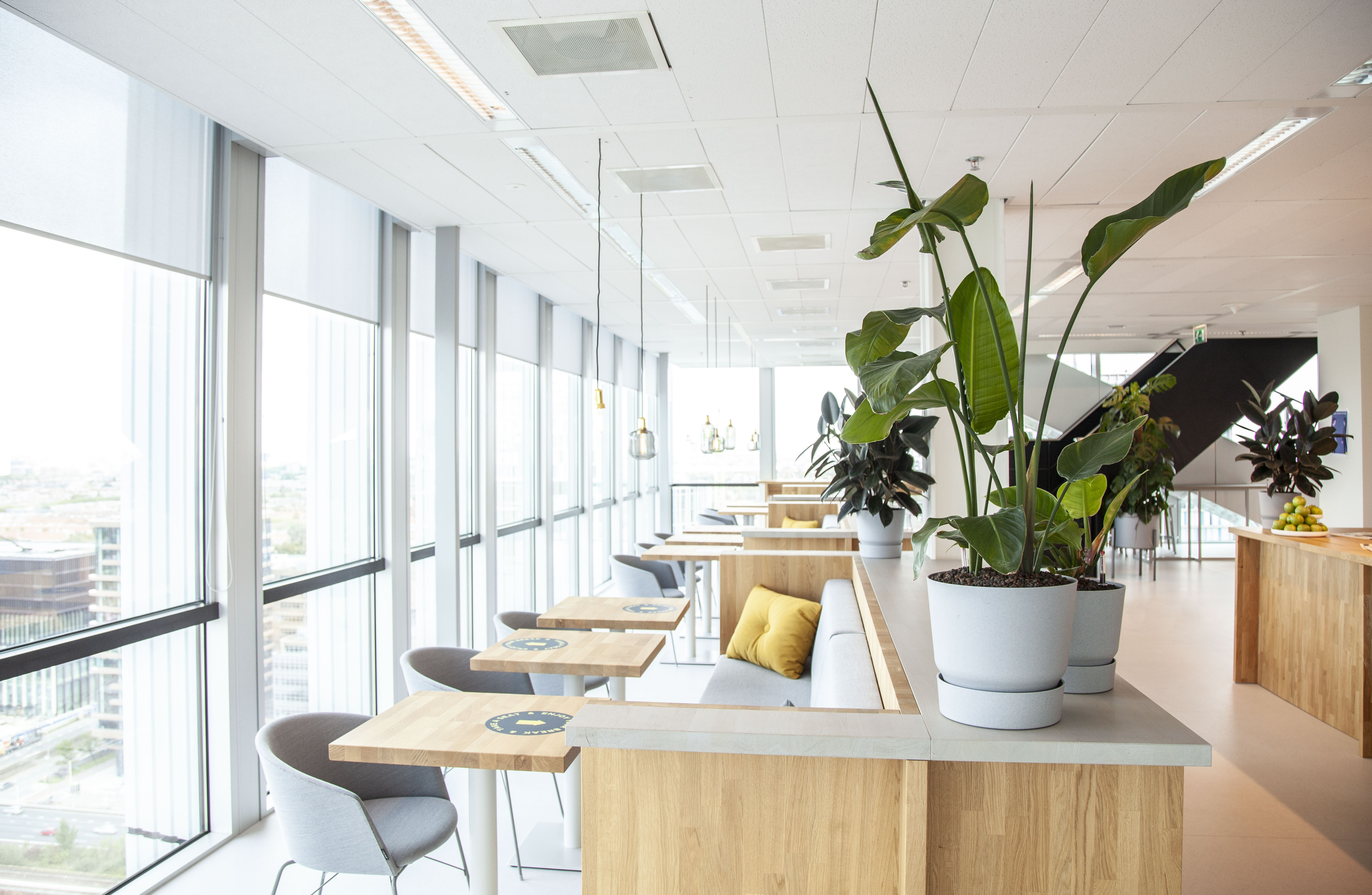 Omslagfoto van Client Accountant bij Savills NL