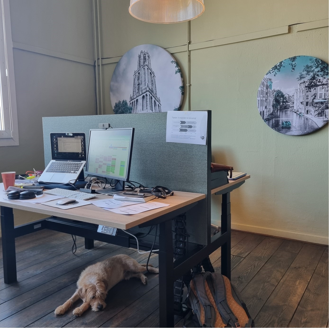 Omslagfoto van Adviseur Werkvermogen bij SharePeople