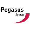 Pegasus Group LTD logo