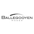Ballegooyen Modes logo