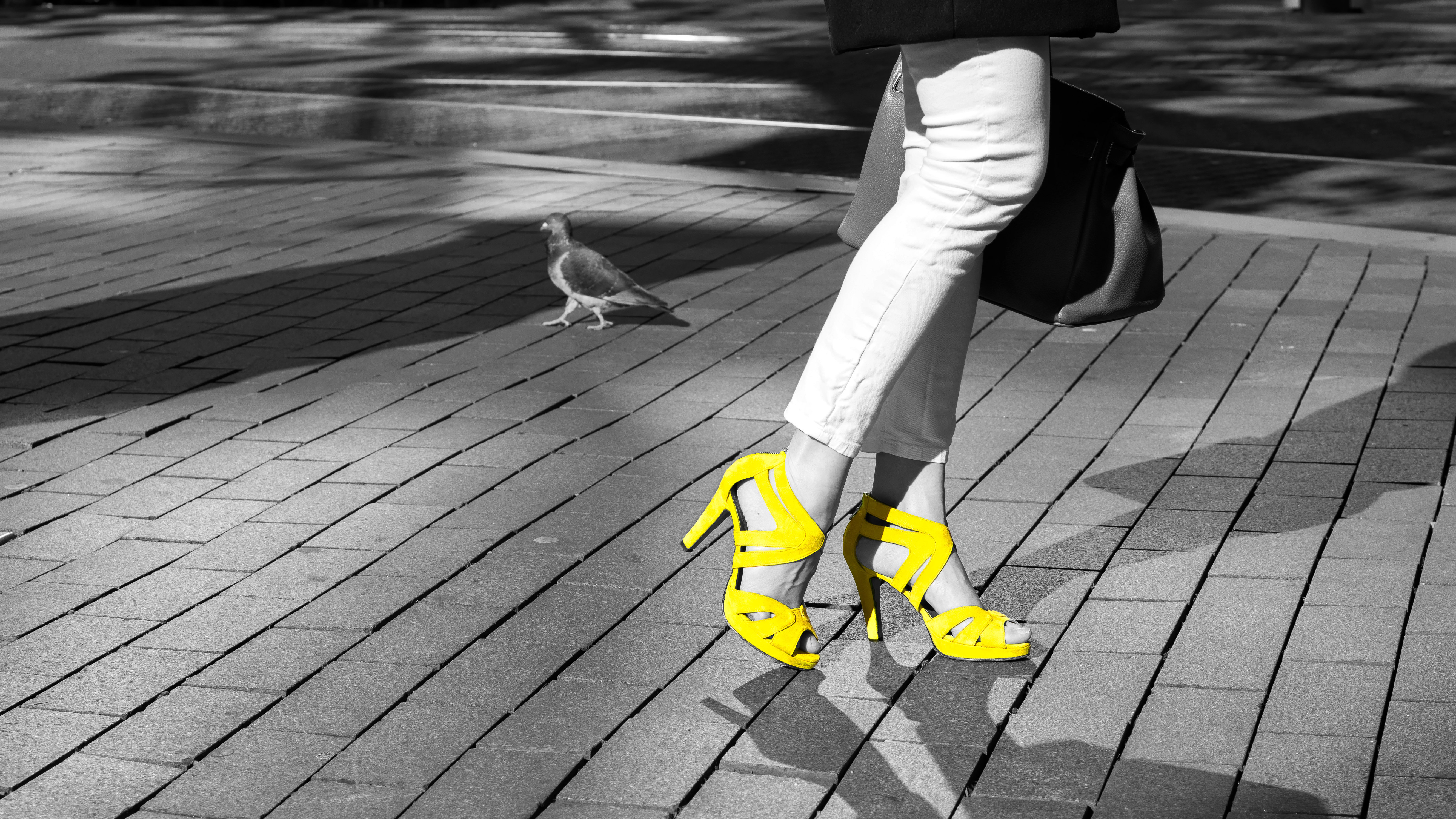 Van der Steenhoven advocaten's cover photo