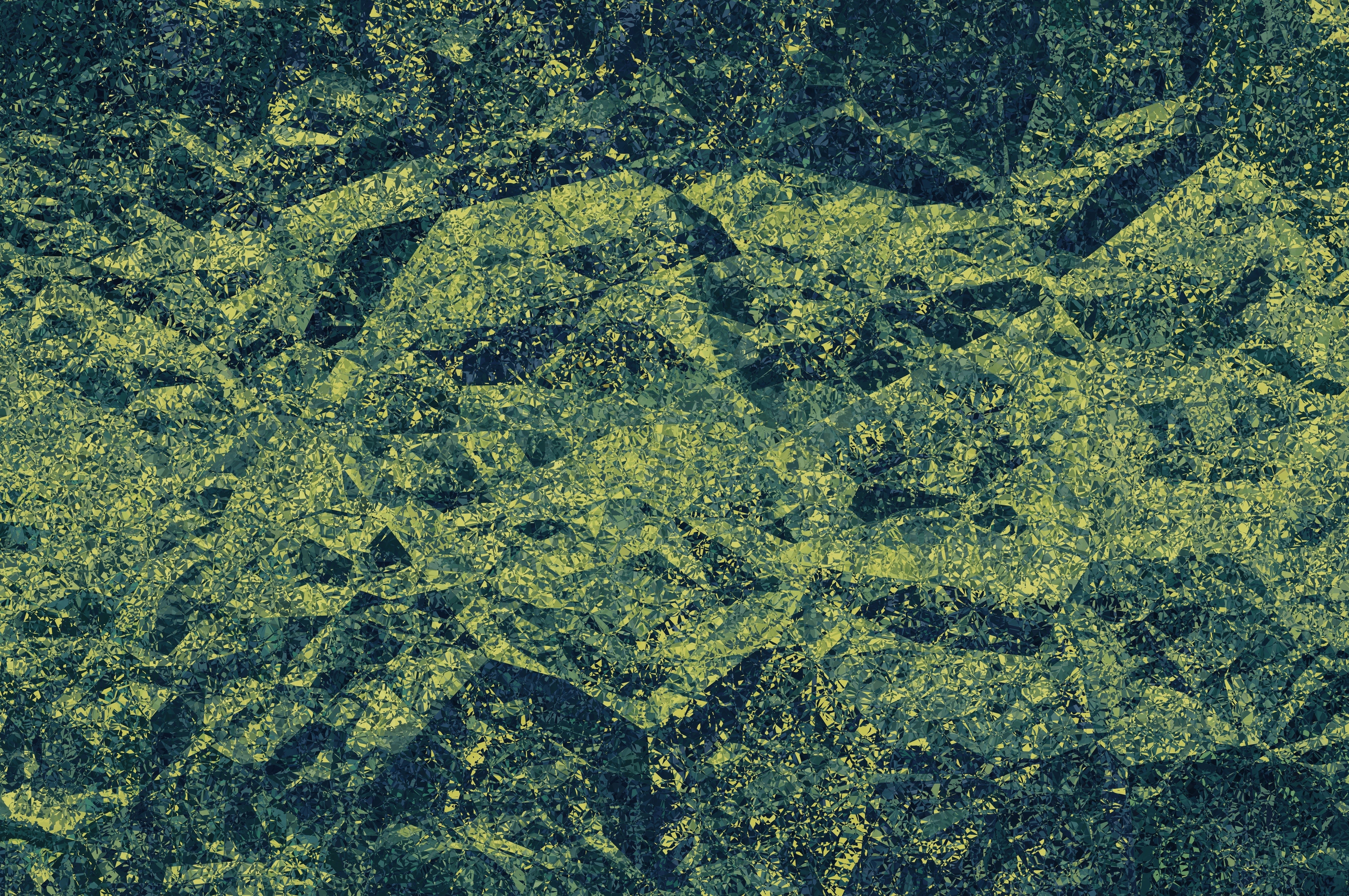 20tree.ai's cover photo