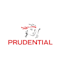Logo M&G Prudential