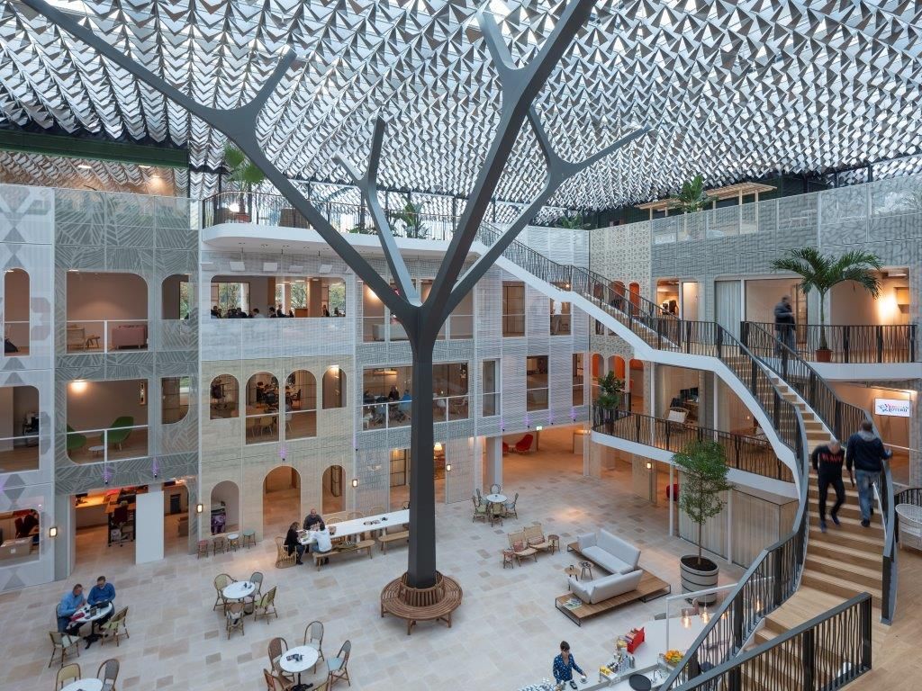 Omslagfoto van Douglas