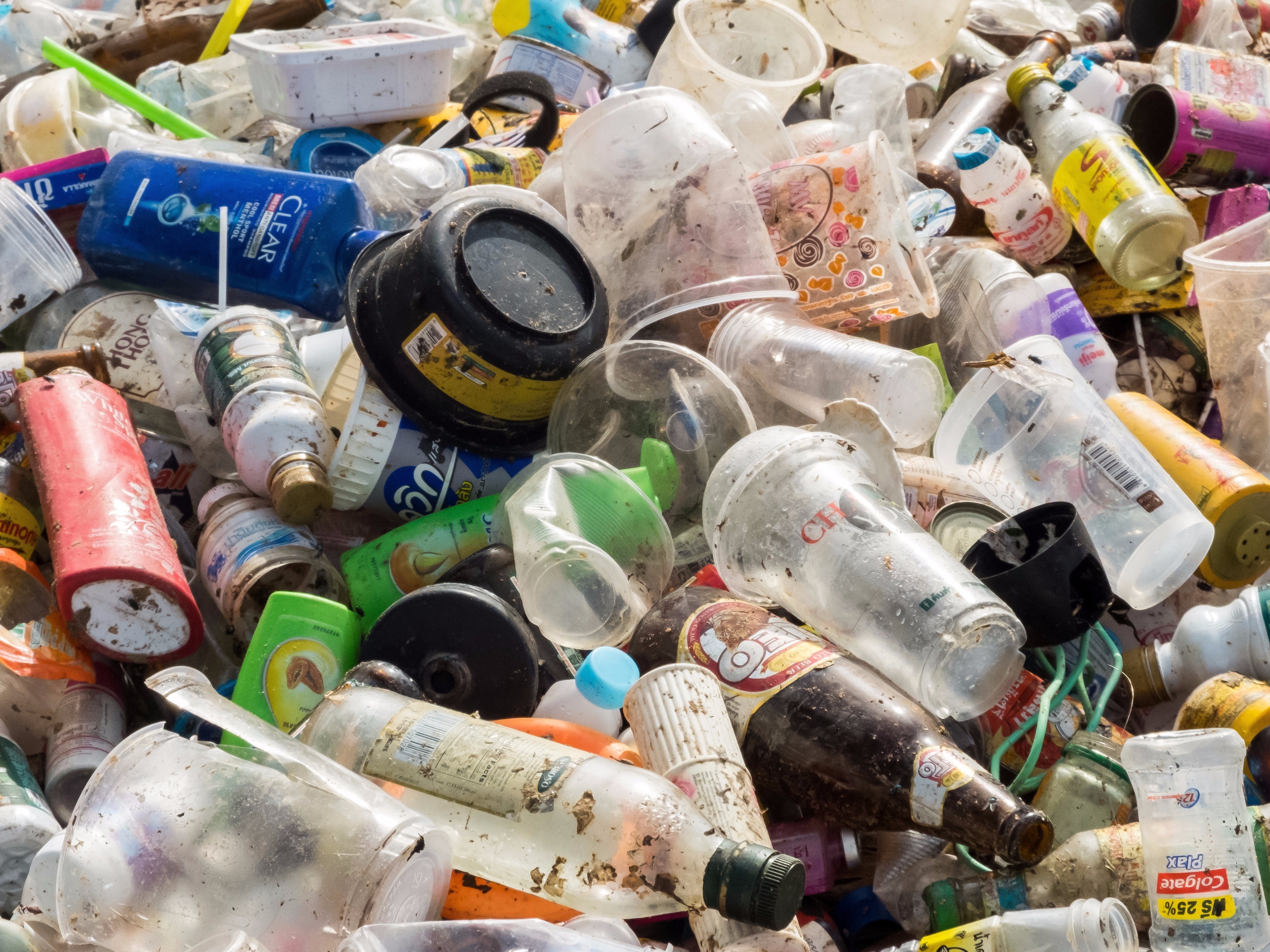 Omslagfoto van Wasteless