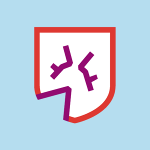 Logo Lansigt accountants en belastingadviseurs