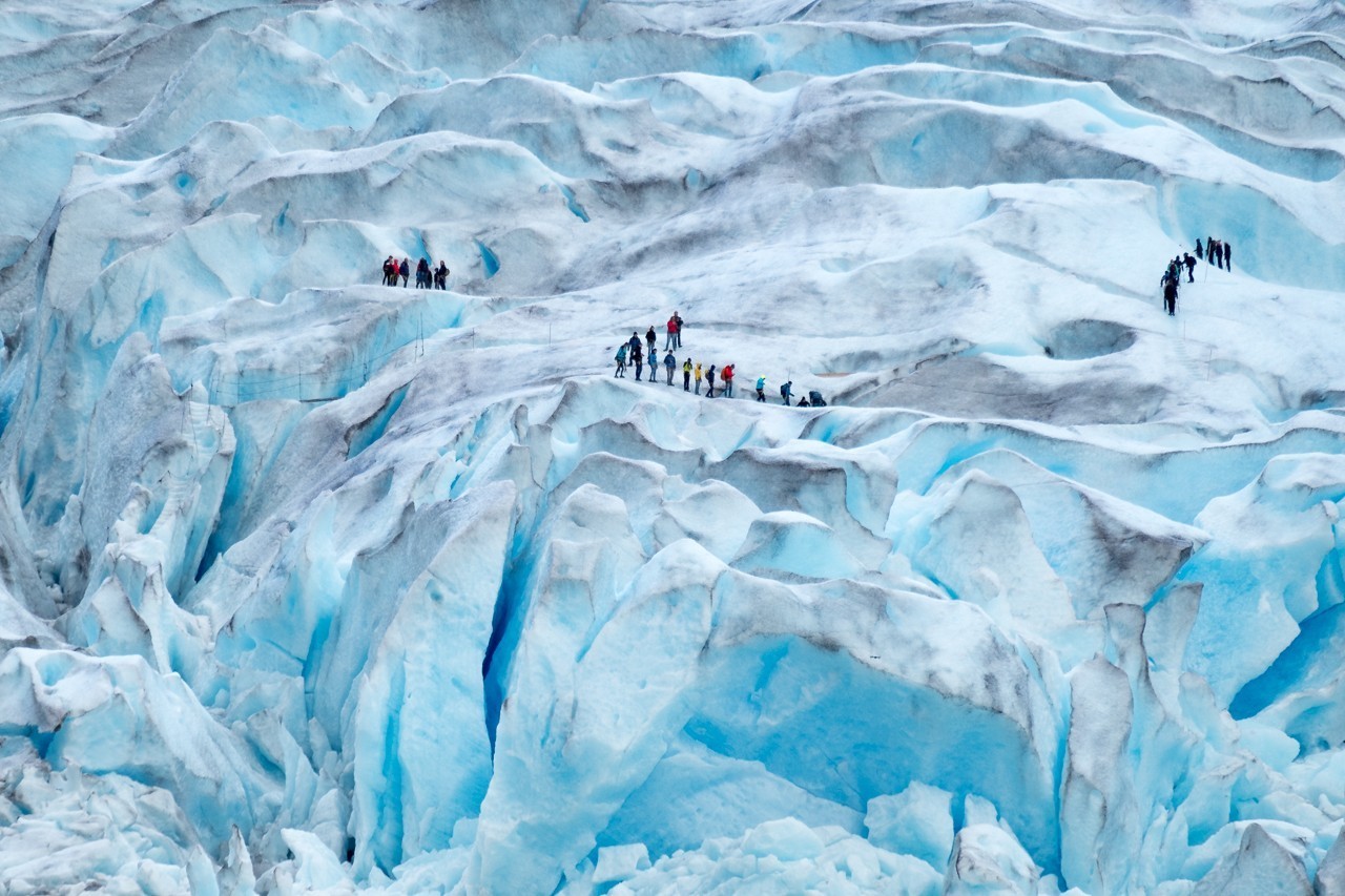 Proven Partners's cover photo