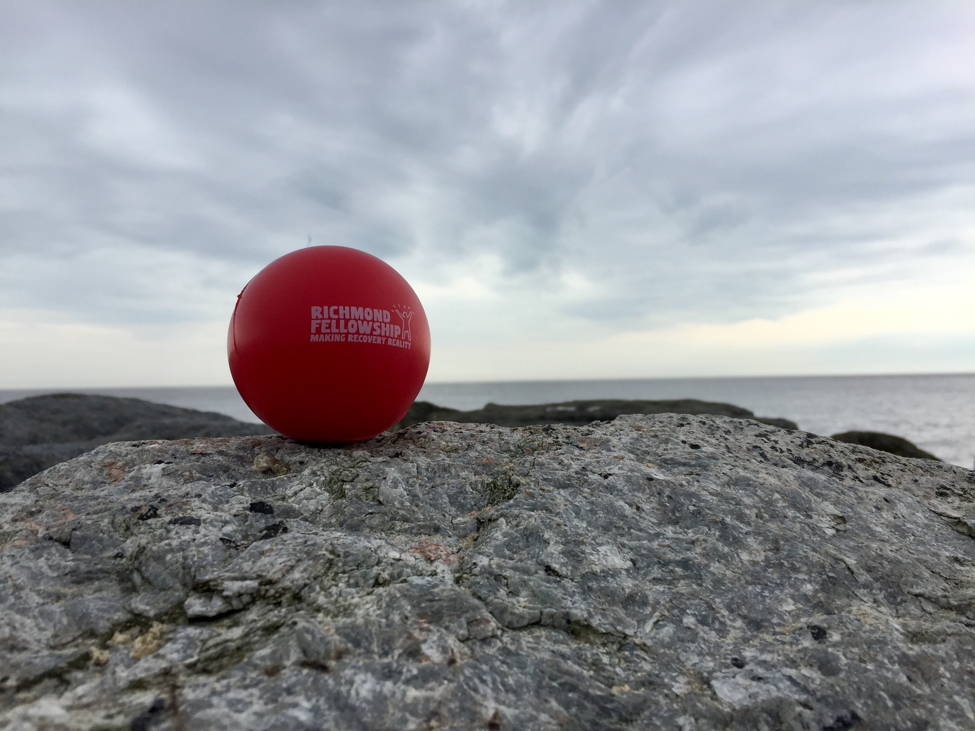 Omslagfoto van Richmond Fellowship