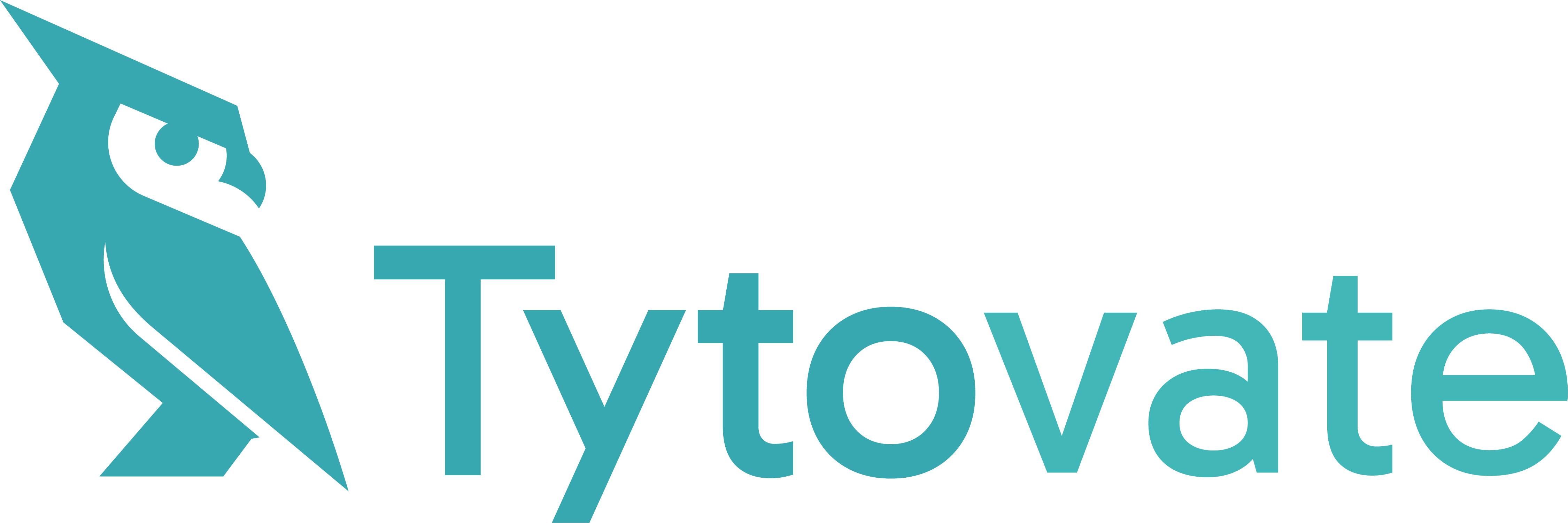 Coverphoto for Salesforce consultant / architect at Tytovate