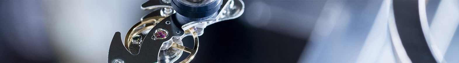 Omslagfoto van Swatch Group