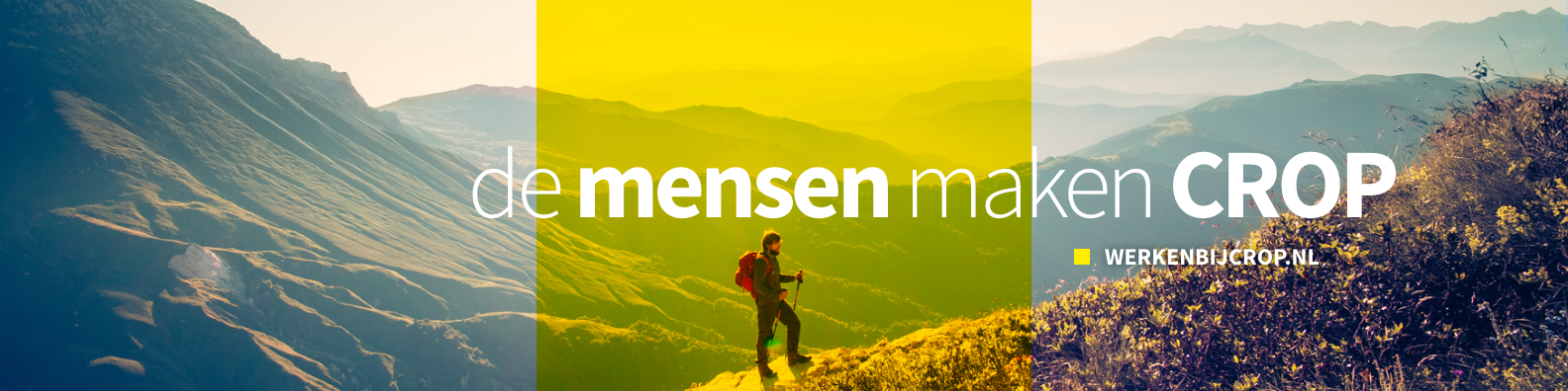 Coverphoto for Tax Consultant - Loonheffingen at CROP