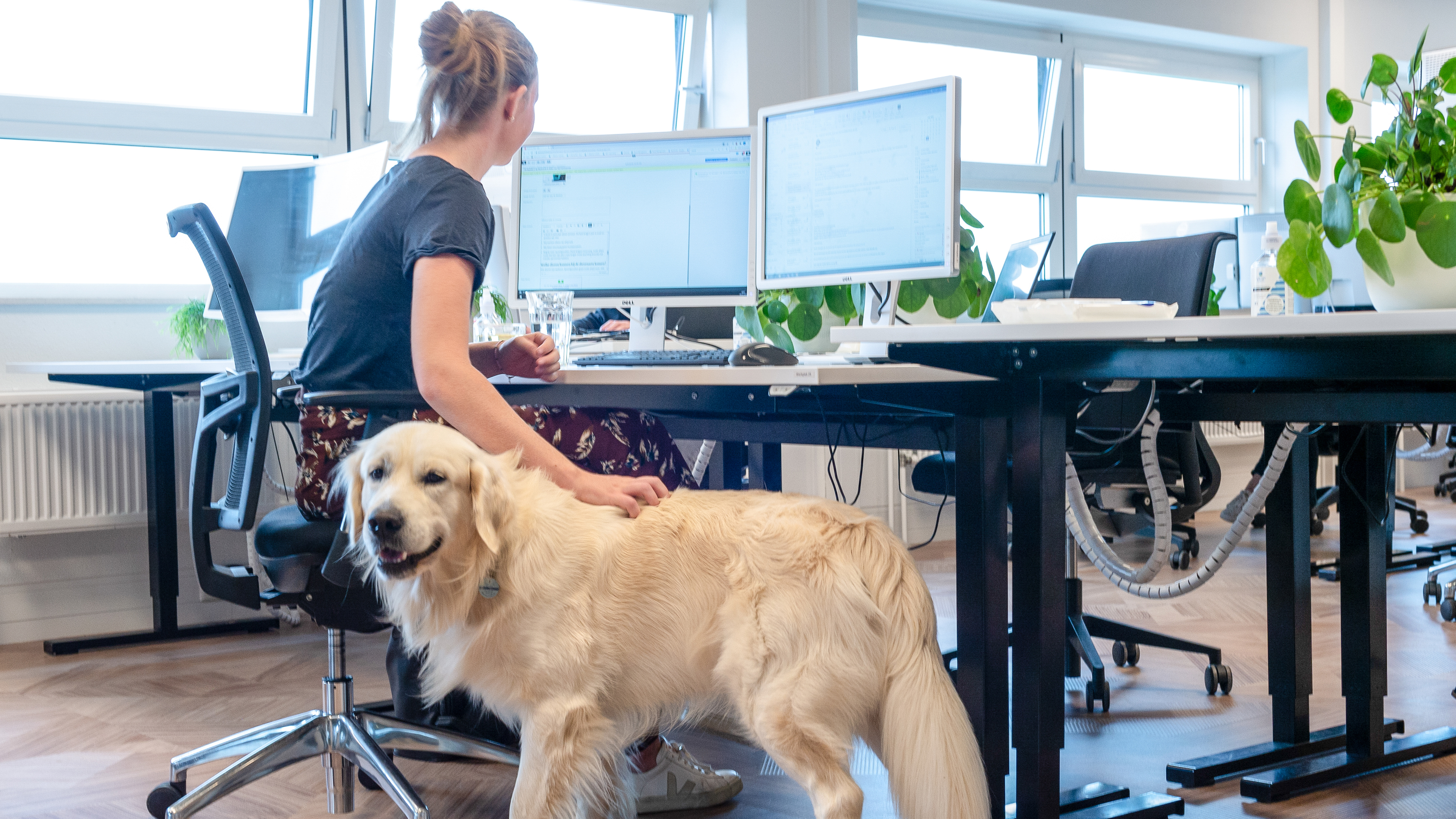 Omslagfoto van Junior Dierenarts bij AniCura - a MARS subsidiary