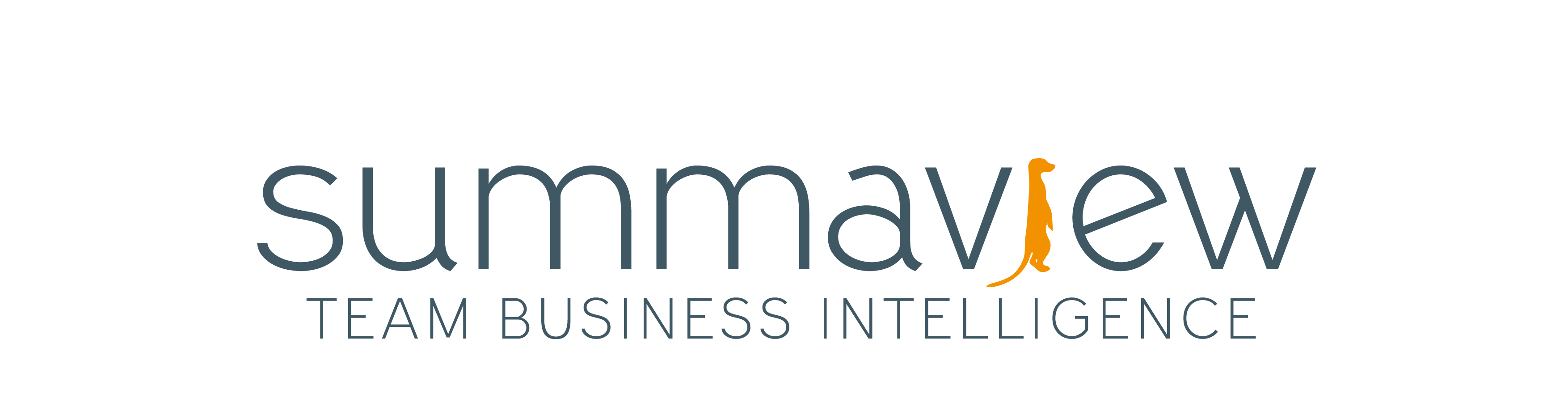 Logo Summaview