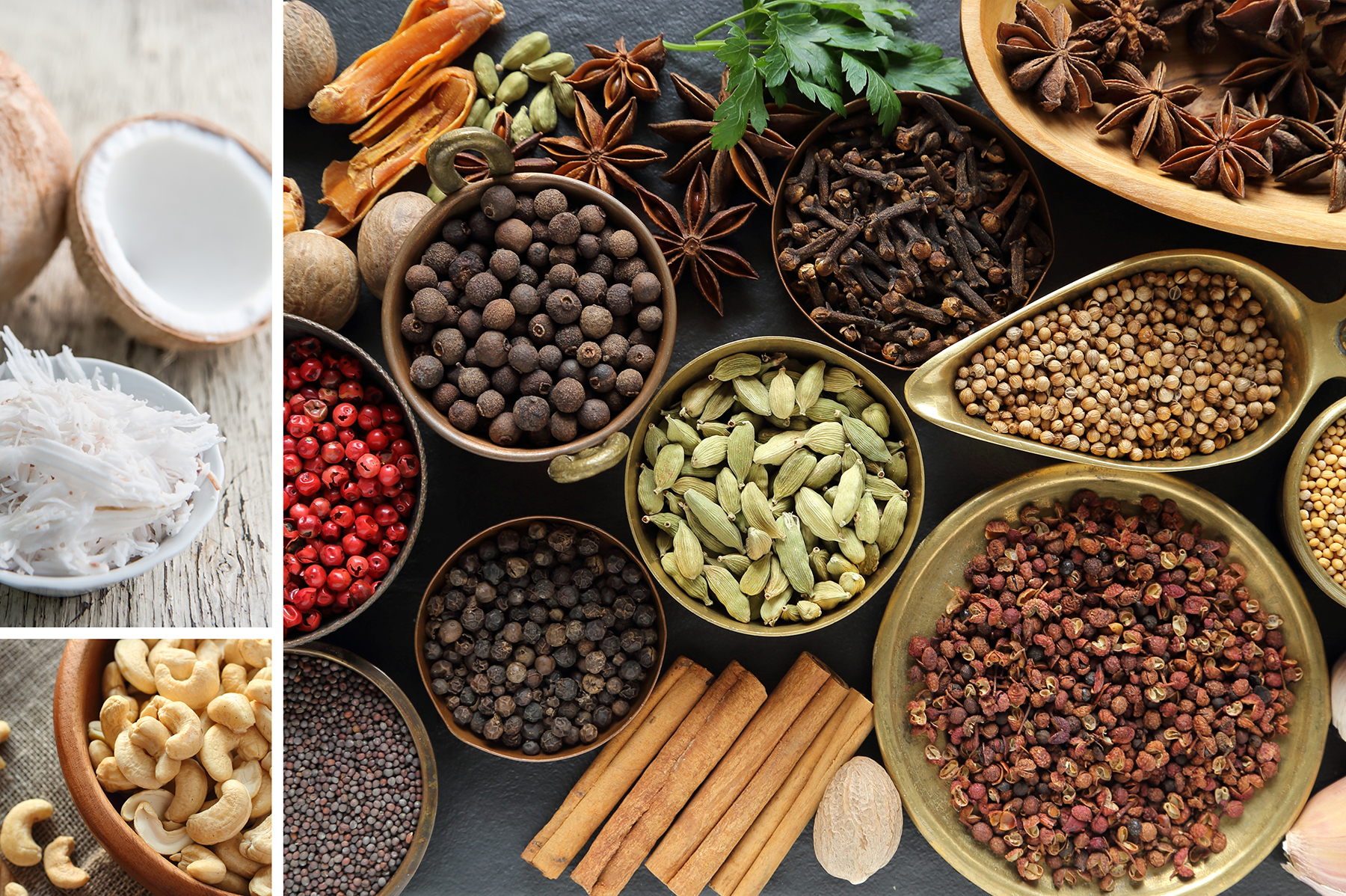 Omslagfoto van Catz International B.V.