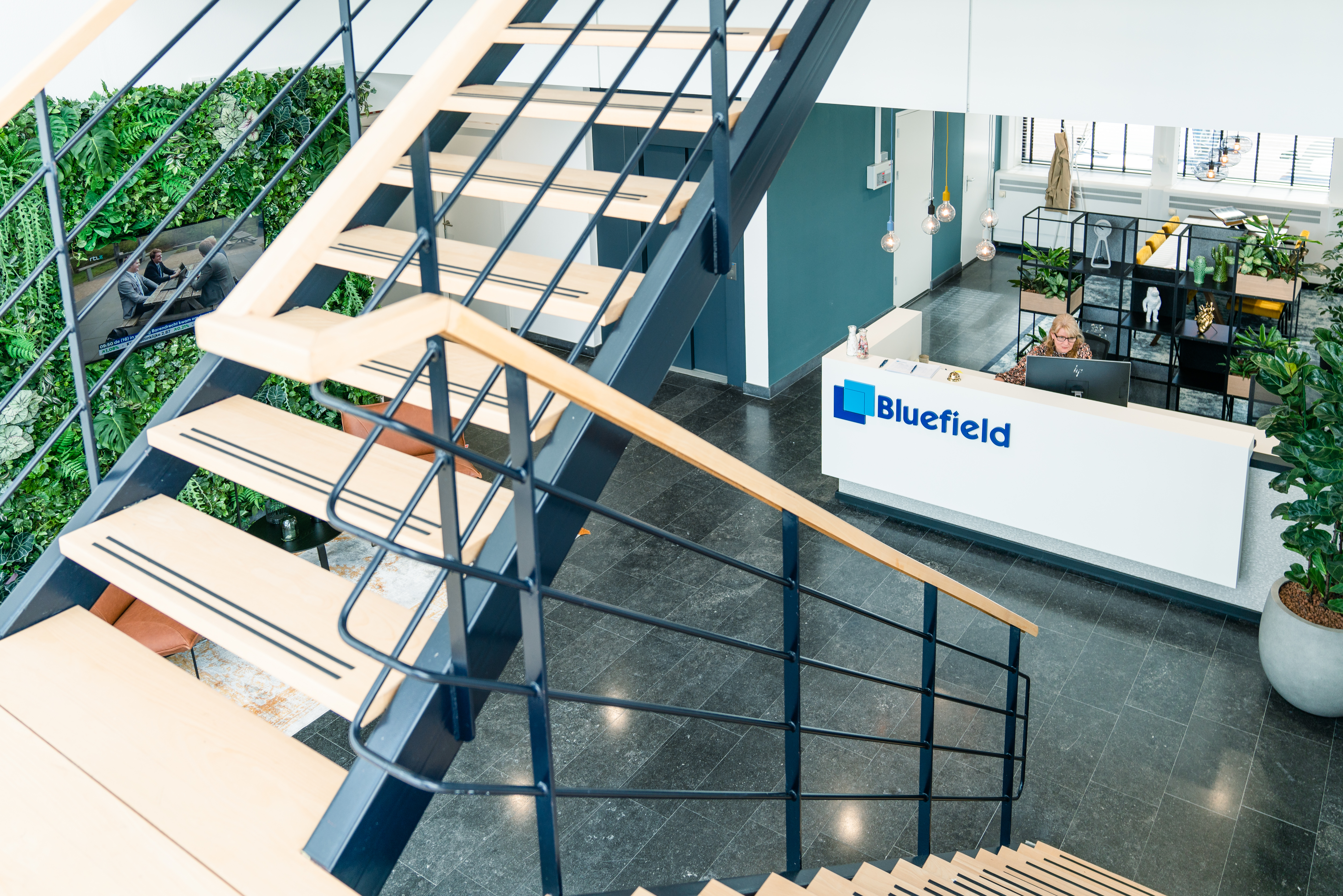 Omslagfoto van Bluefield