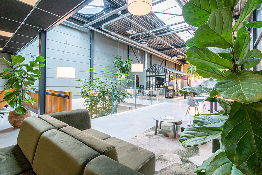 Omslagfoto van Inside Sales Representative bij Alphatron Medical