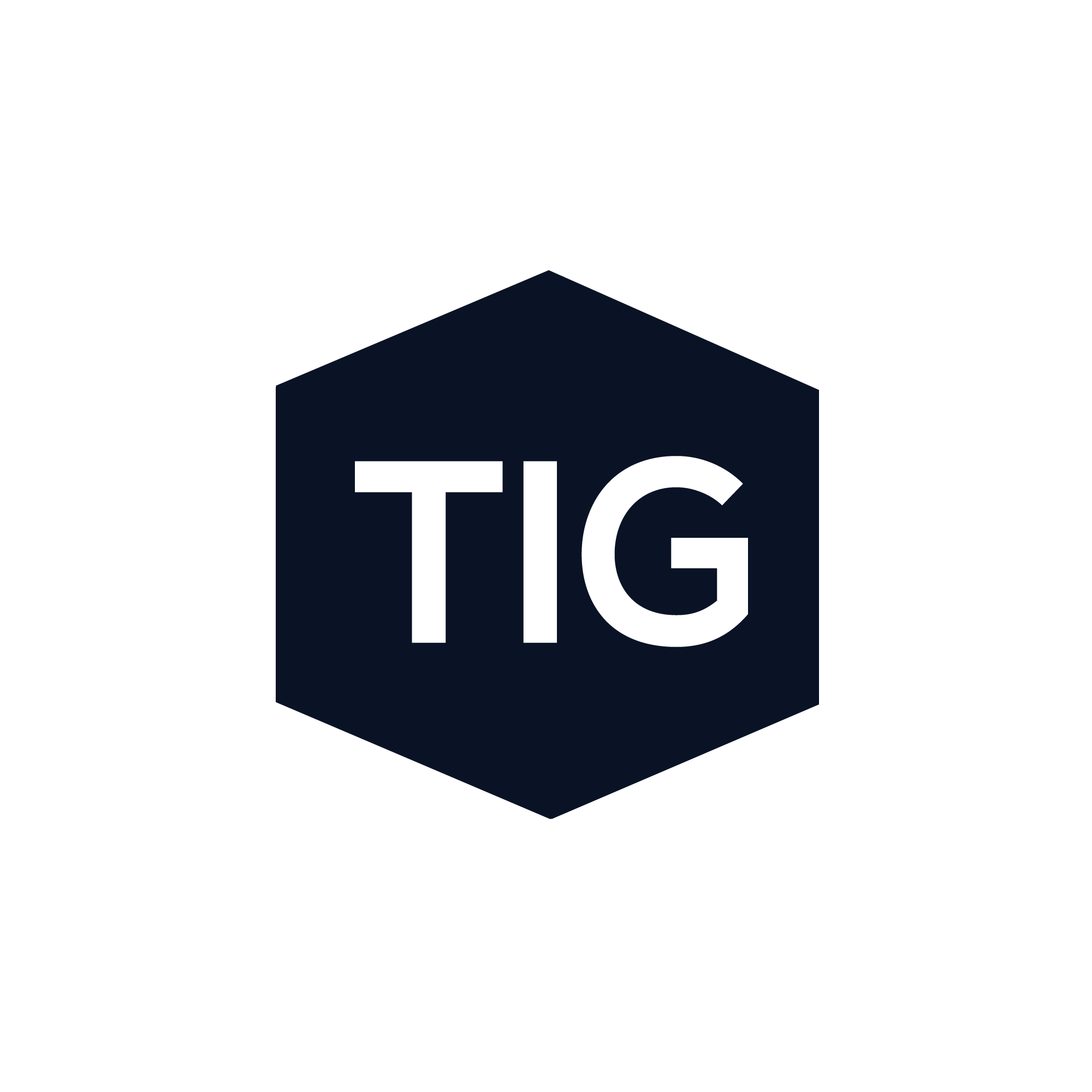 TIG logo