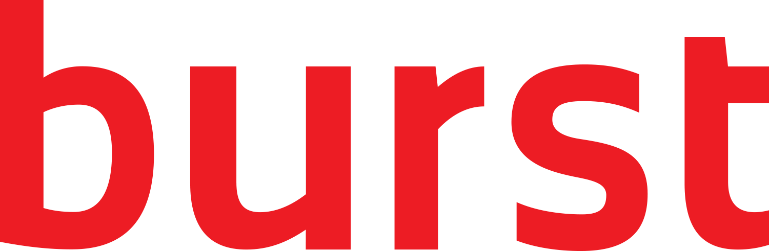 Burst logo