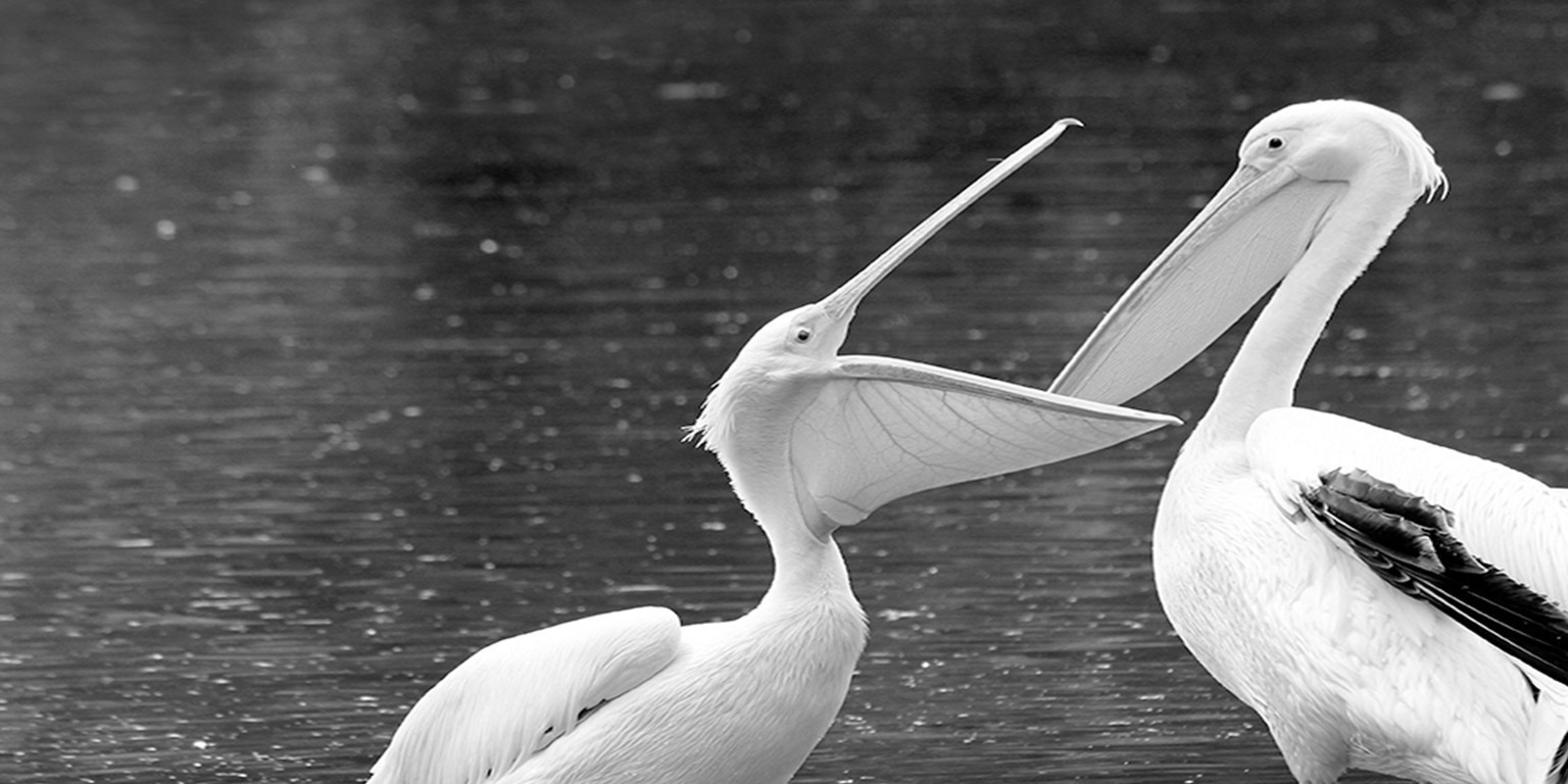 Royal London's cover photo