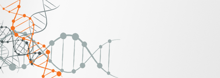 Omslagfoto van Horizon Jobs