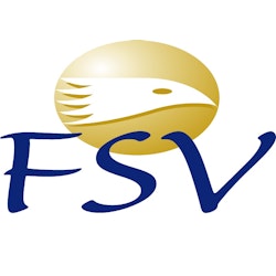 FSV Accountants & Adviseurs
