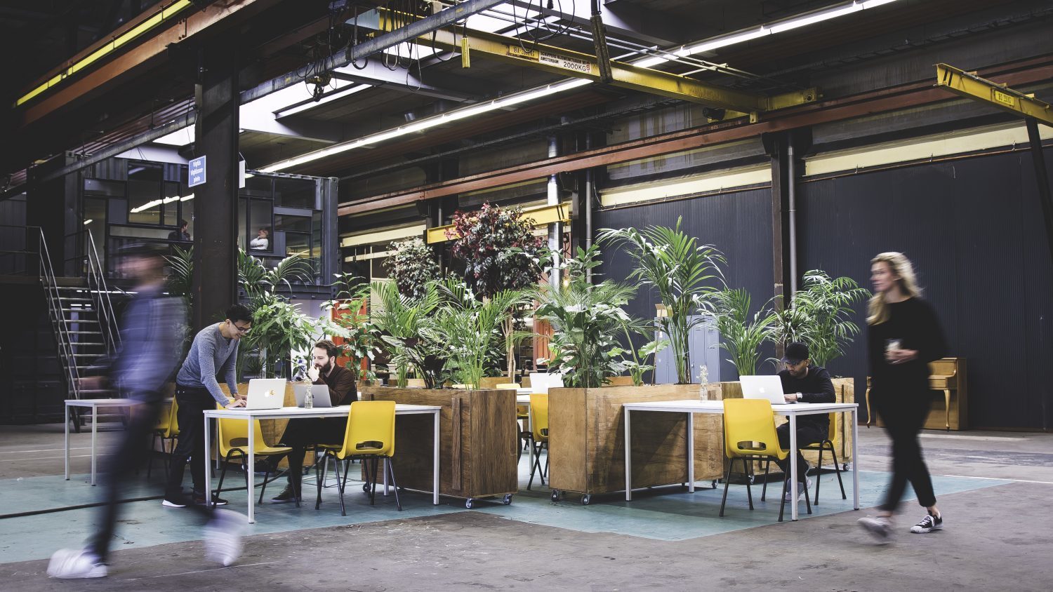 Amatore's cover photo