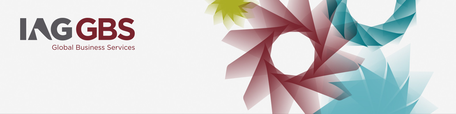 Omslagfoto van IAG GBS