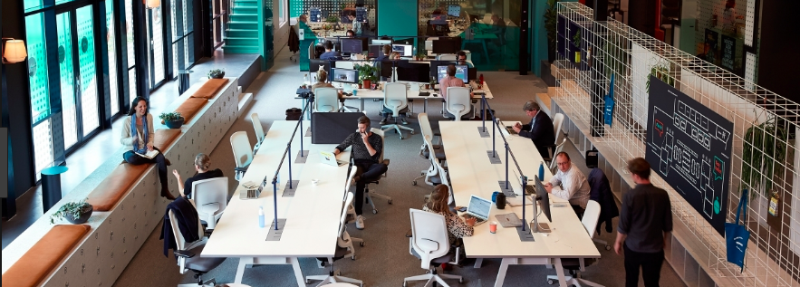 Omslagfoto van Jamme