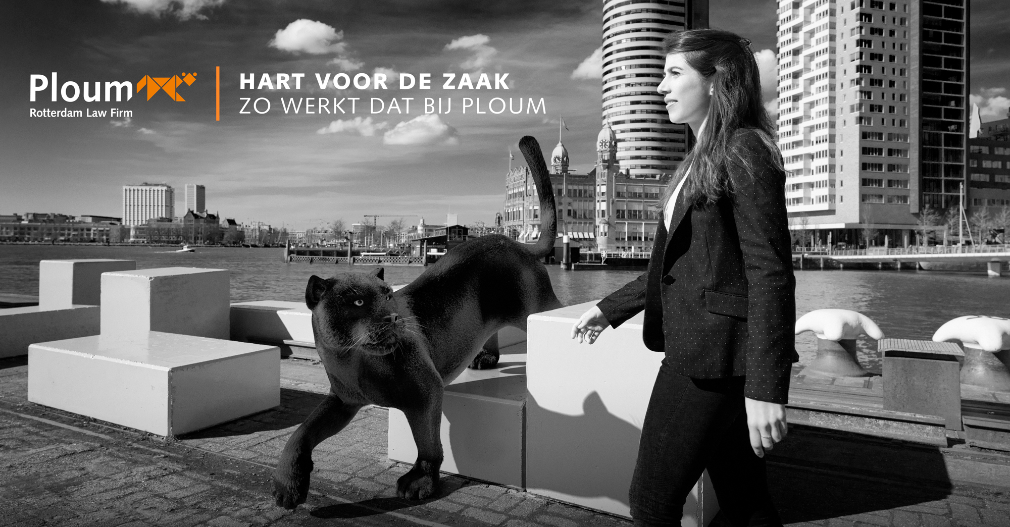 Omslagfoto van Senior HR-operations payroll specialist bij Ploum