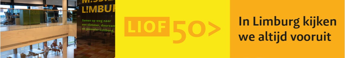 Omslagfoto van NV LIOF