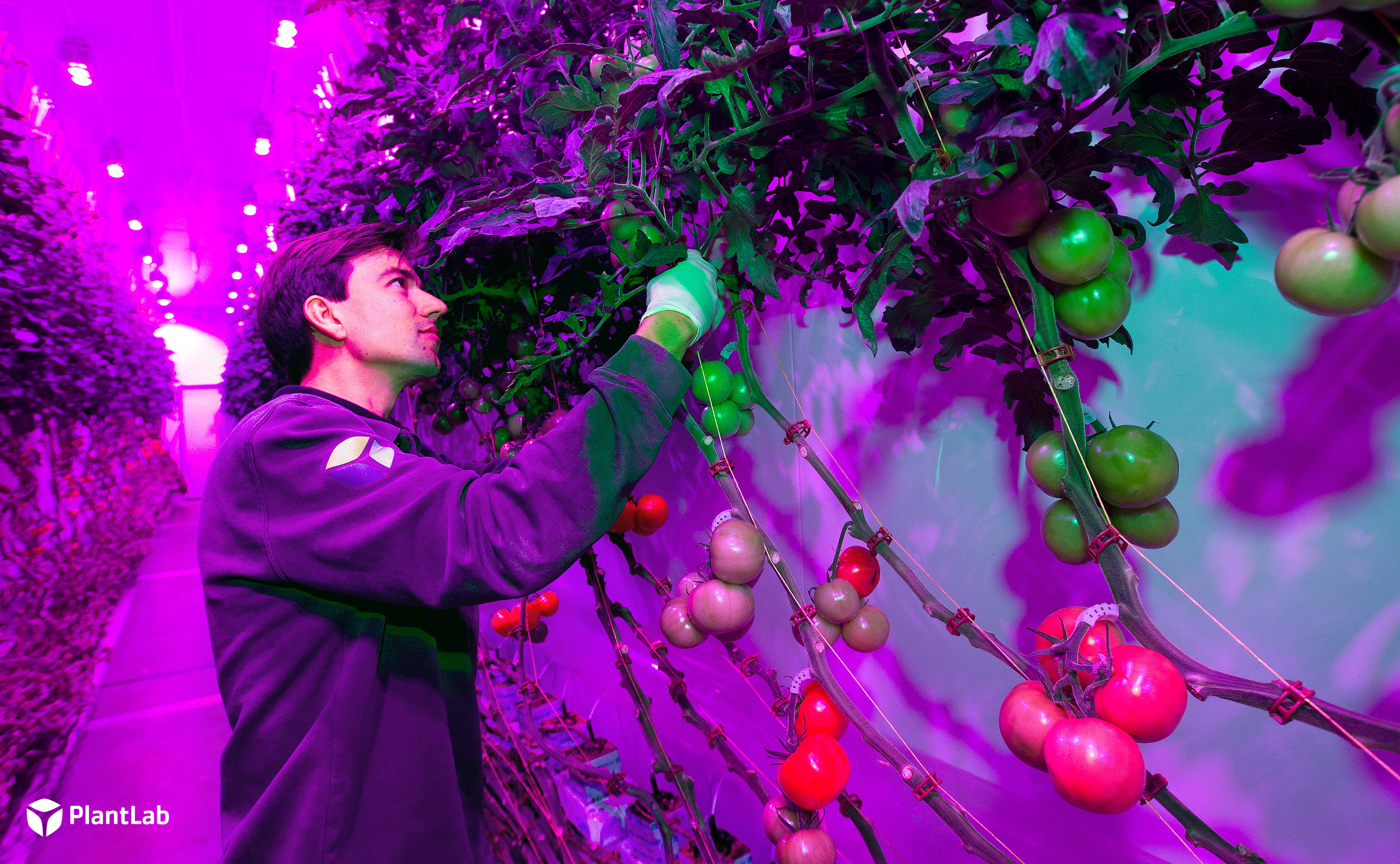 Omslagfoto van PlantLab