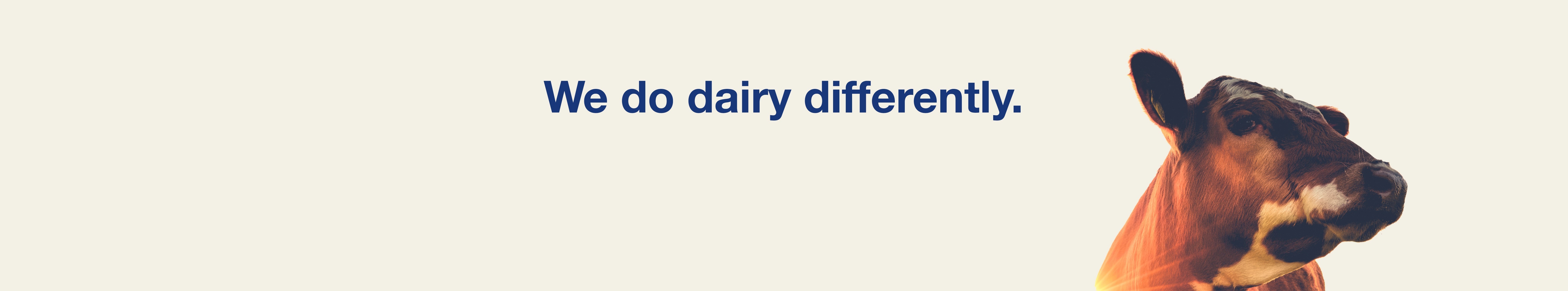 Omslagfoto van Bdairy B.V.