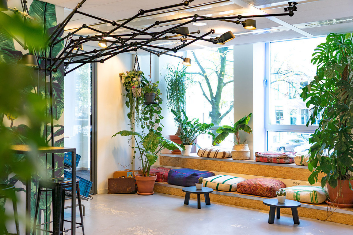 TravelBird's cover photo