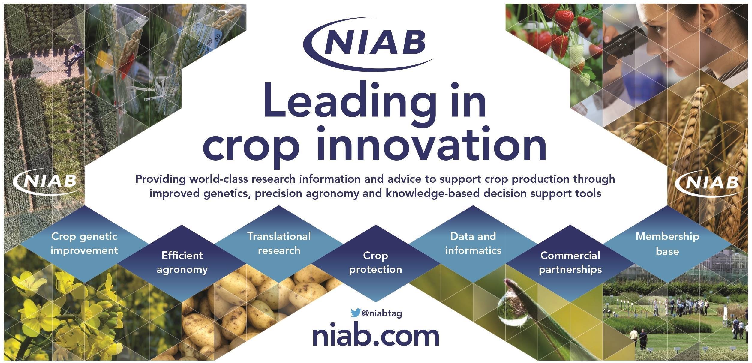 NIAB UK's cover photo