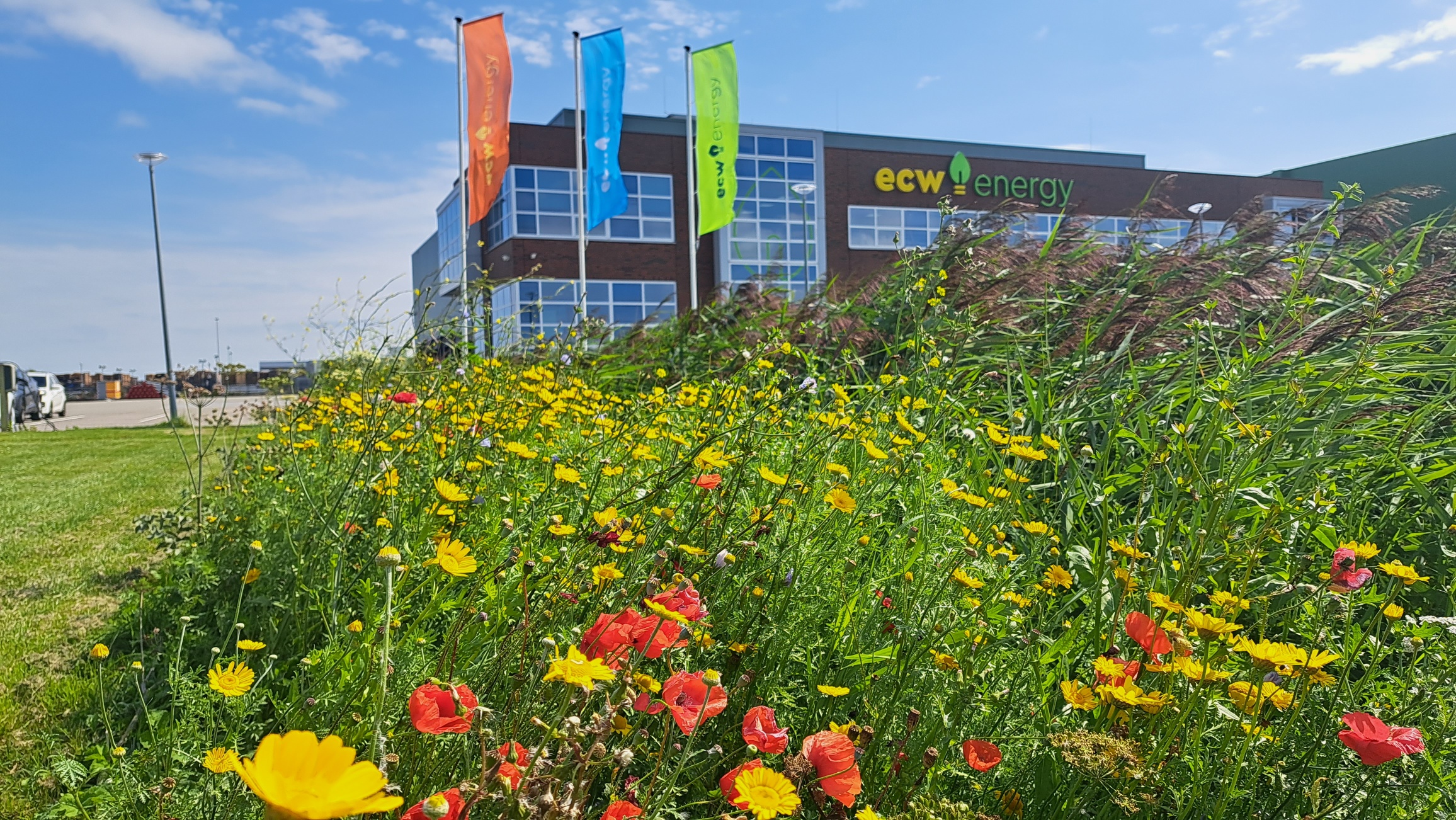 ECW Energy's cover photo