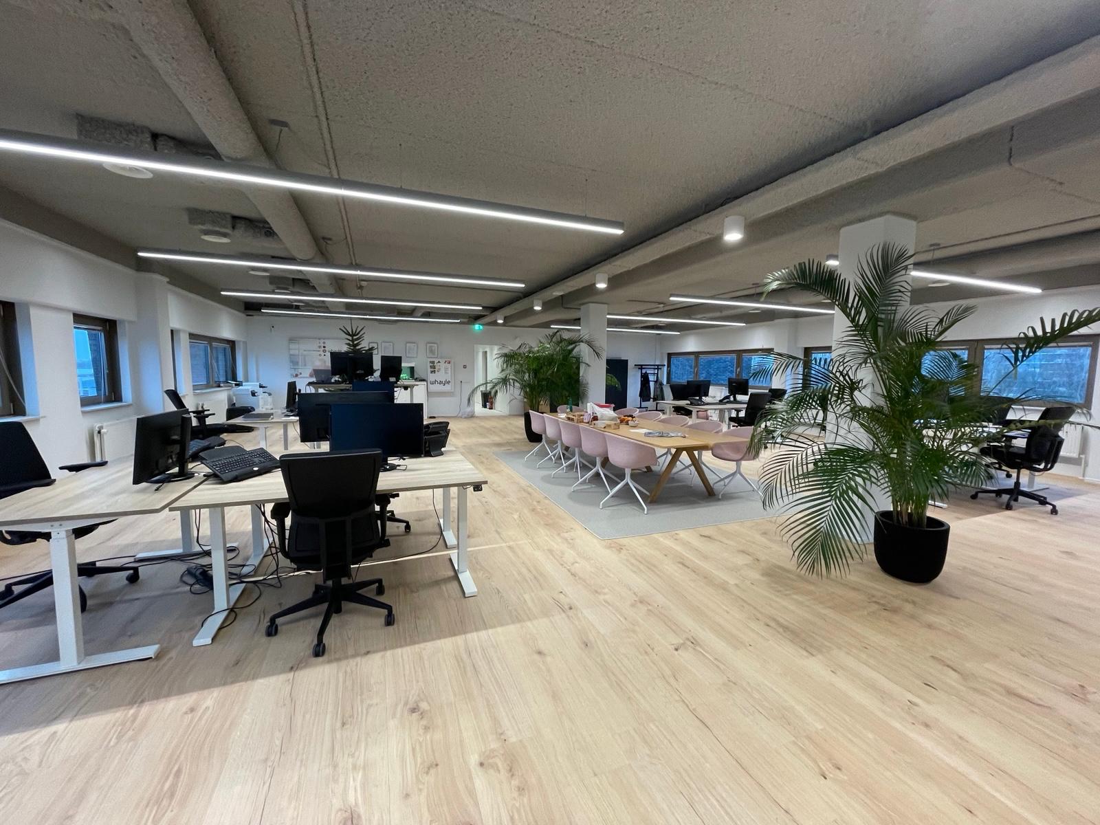 Omslagfoto van Whayle