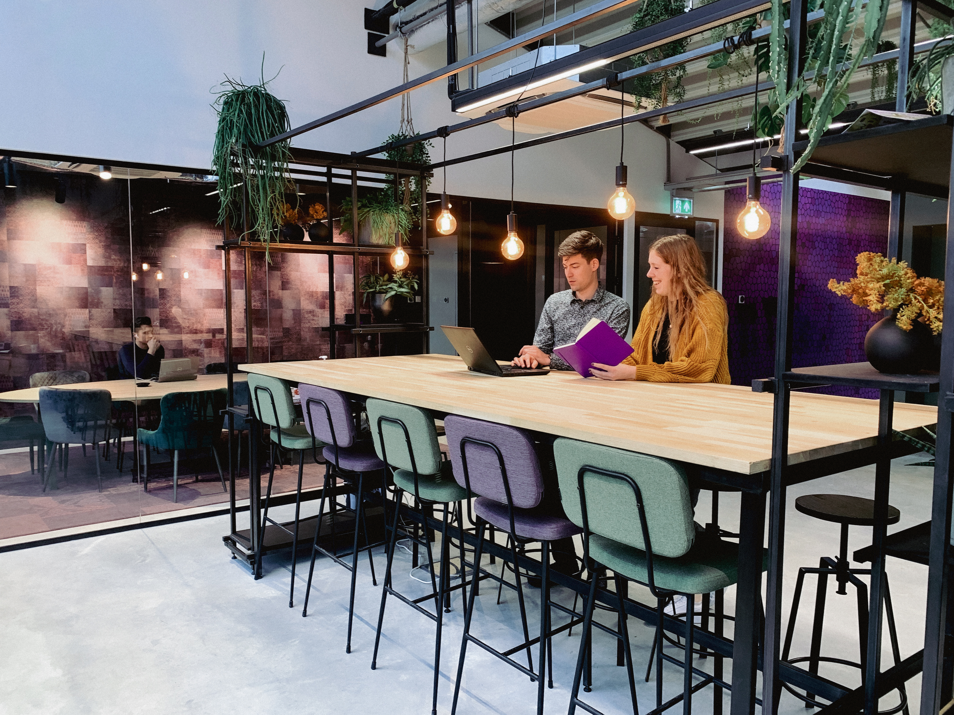 Pipple's cover photo