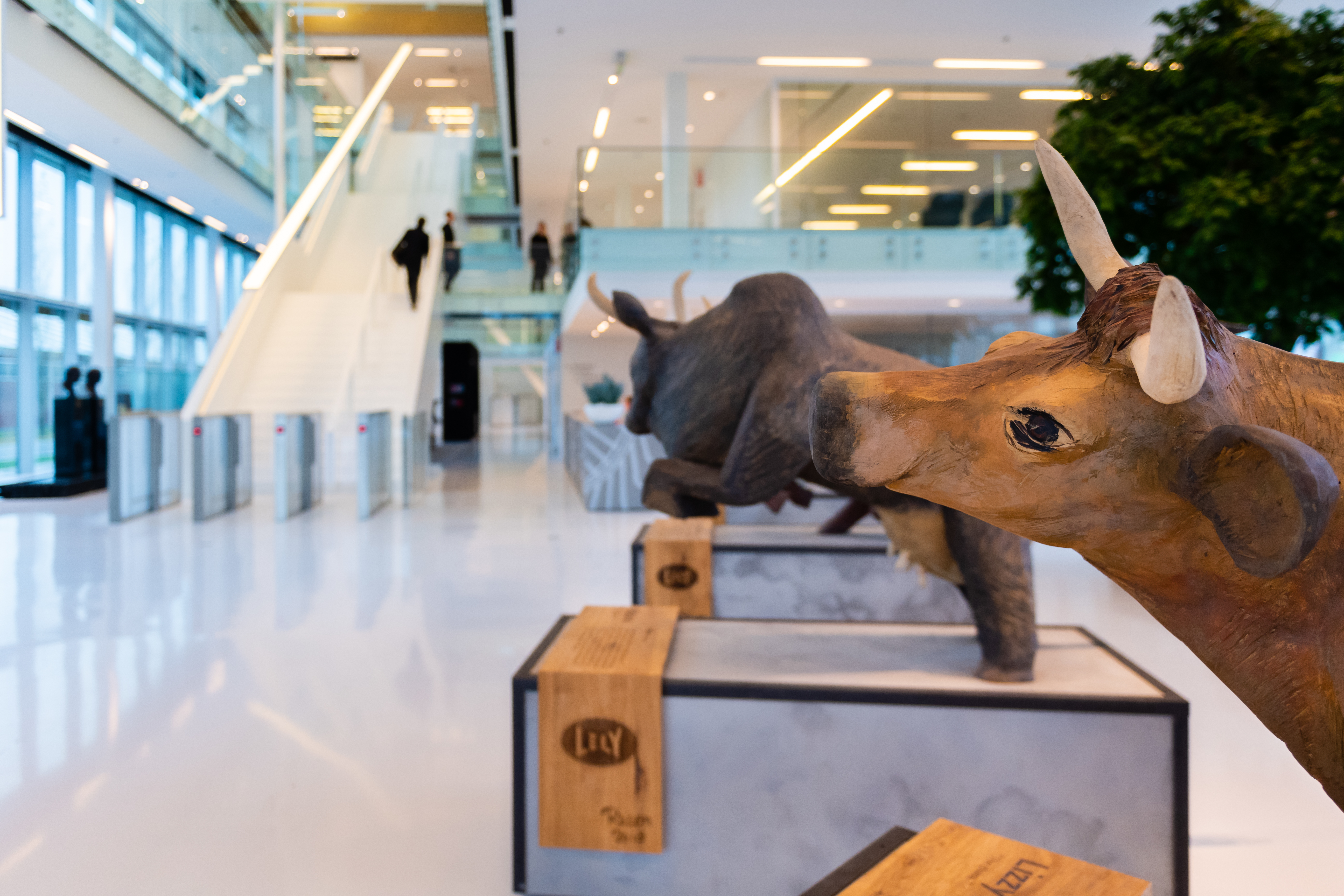 Coverphoto for Backend Developer at Lely