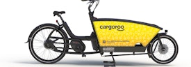 Omslagfoto van Electric Cargo Bike Mechanics bij Cargoroo