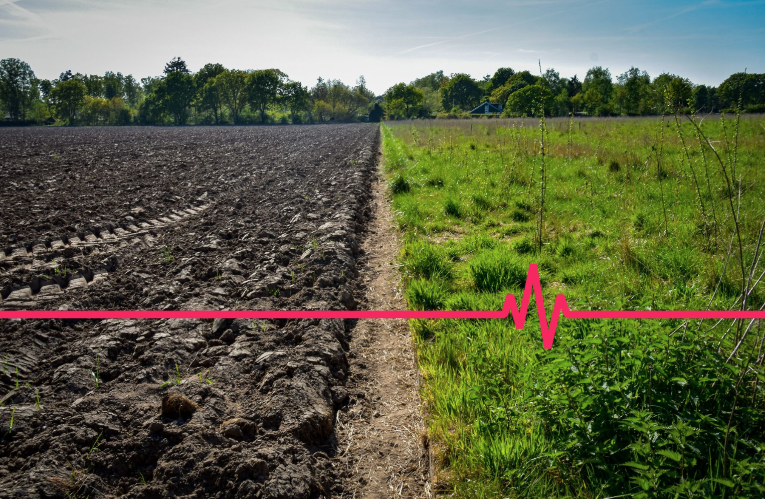 Omslagfoto van Soilbeat