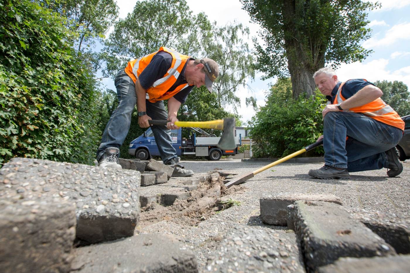 Gemeente 's-Hertogenbosch's cover photo